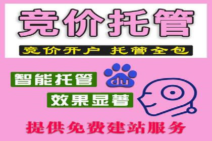 百度竞价代理在某行业的具体应用与效果